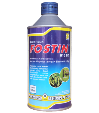 FOSTIN