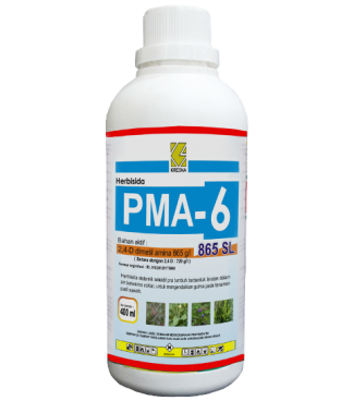 PMA 6