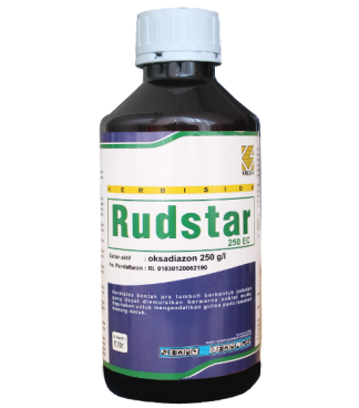 RUDSTAR