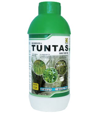 TUNTAS