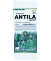 antila