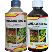 Amabas 500 EC 1000x1000